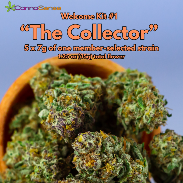 Welcome Kit #1 - The Collector