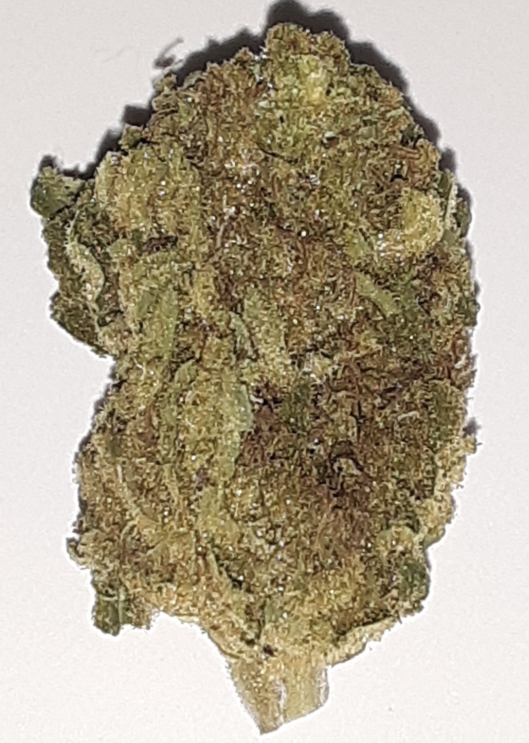 (Sativa>Hybrid) Pine Melon CannaSense