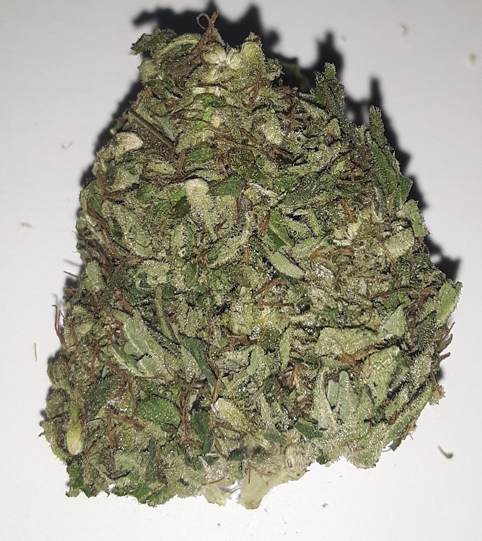 (Hybrid) Earth Monkey CannaSense