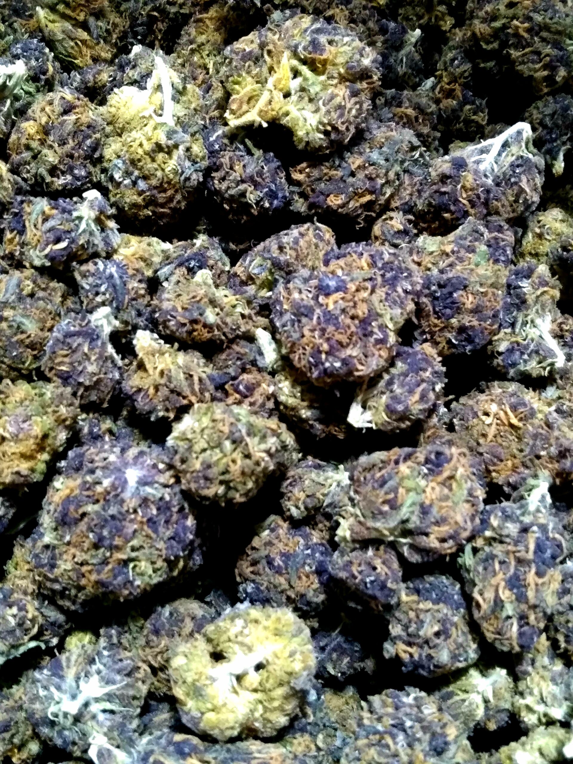 (Indica>Hybrid) Purple Mountain Majesty | CannaSense
