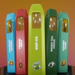 2g - Stoner Stix Live Resin + Live Rosin Infused Disposable - DOGTOWN