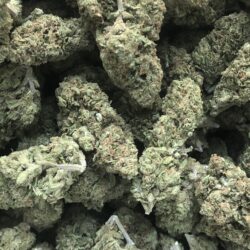 28g - Oreo Cookies- Hybrid (INDOOR)