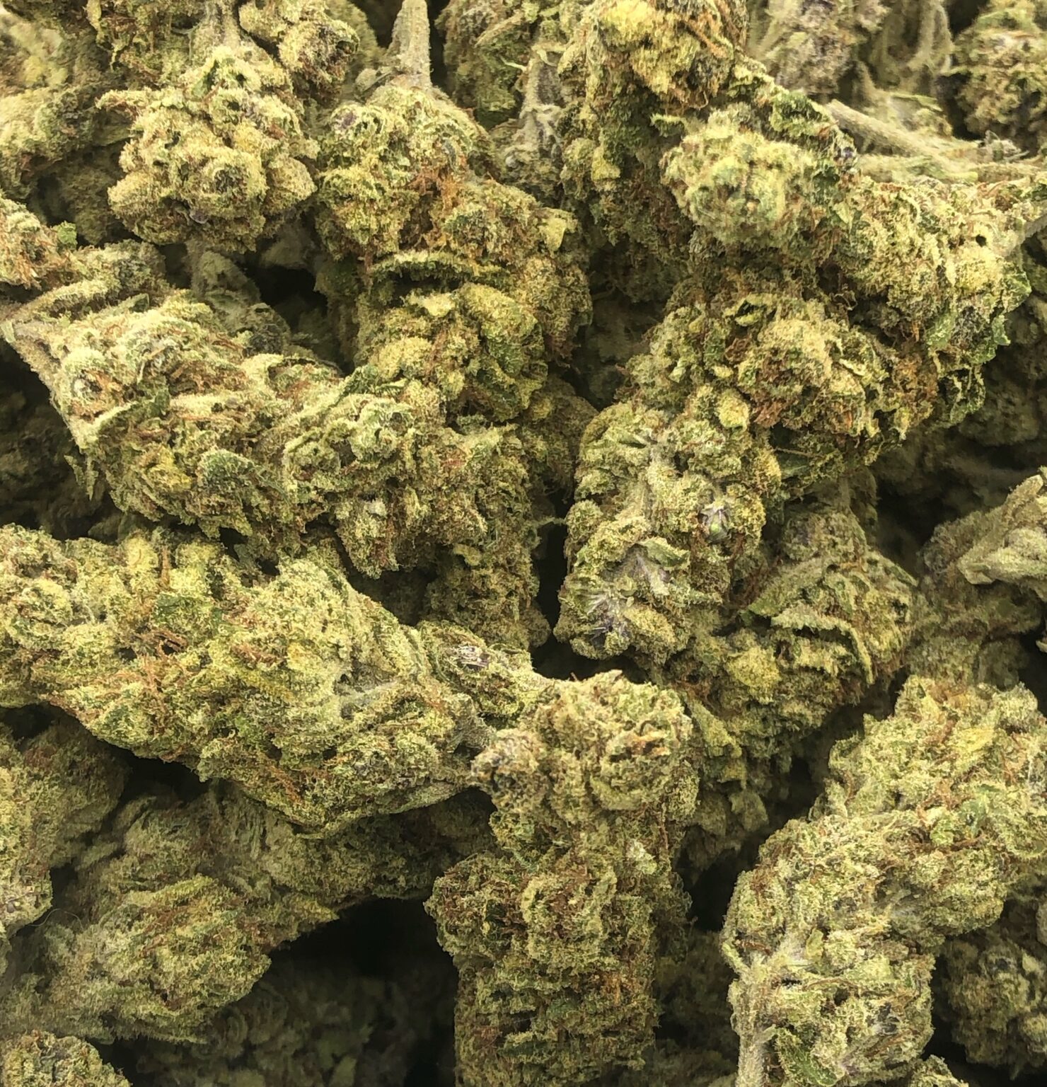 28g - Watermelon Runtz - Indoor - Hybrid