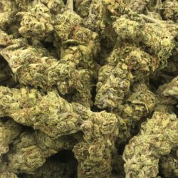 28g - Watermelon Runtz (indoor)
