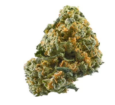 7g - Platinum Lemon Cherry (INDOOR) - Hybrid