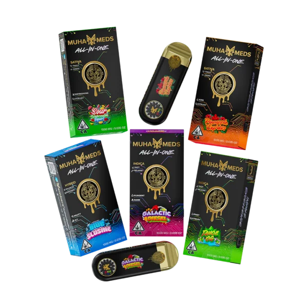 2g - Muha Meds All-In-One Disposable - DOGTOWN