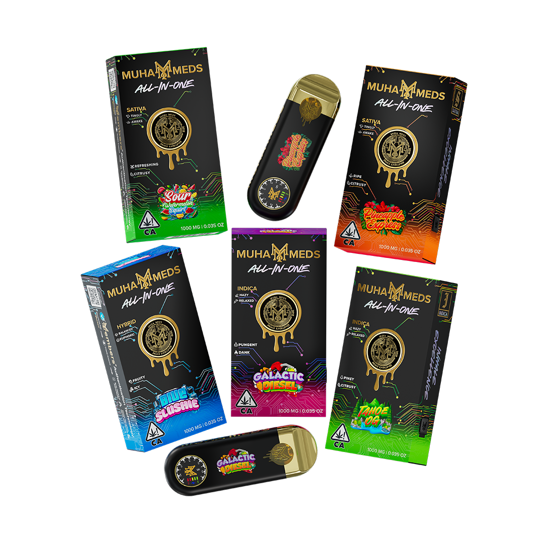 2g - Muha Meds All-In-One Disposable - DOGTOWN