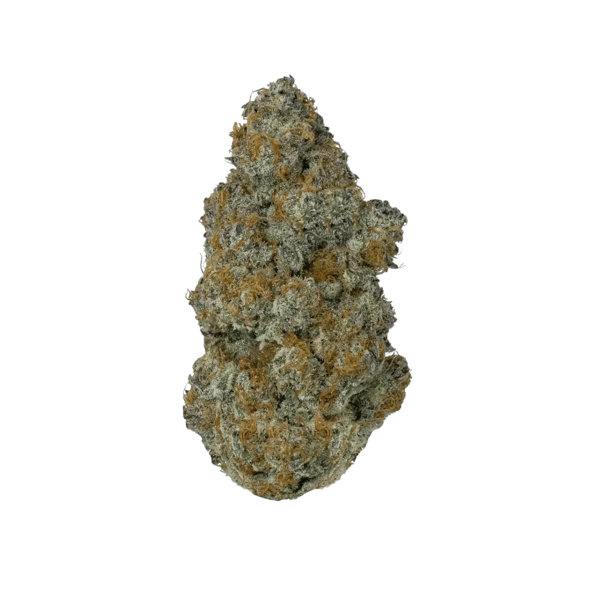 GMO Cookies- HYBRID-1OZ