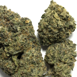 28g - Sour OG - Hybrid