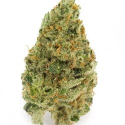 28g - Silver Haze - Hybrid