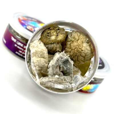 3.5g - Boomerang Mushrooms - Image 2