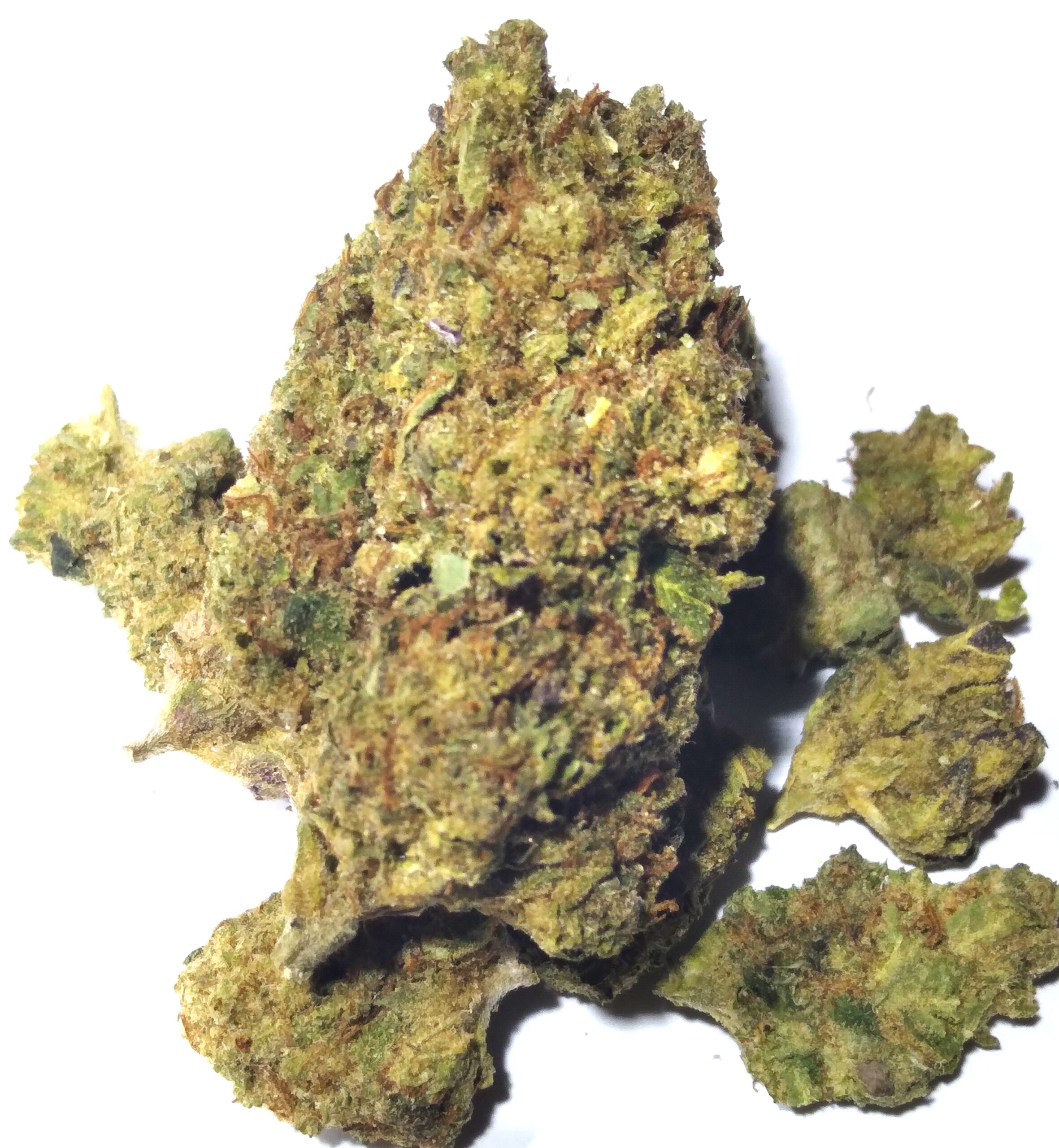 (Hybrid) Alien OG Kush | CannaSense