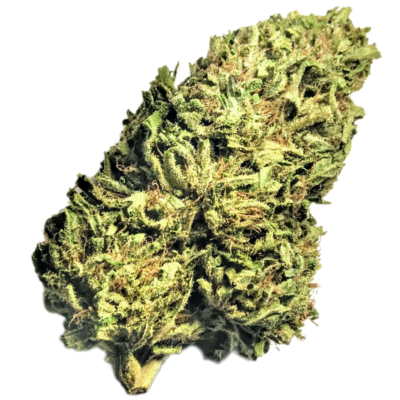 (PROMO) Gooasaurus - High CBG - Hybrid 1/4 oz