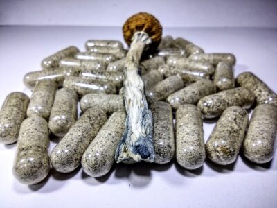 3.5g - Golden Teachers Microdose (11 pack)