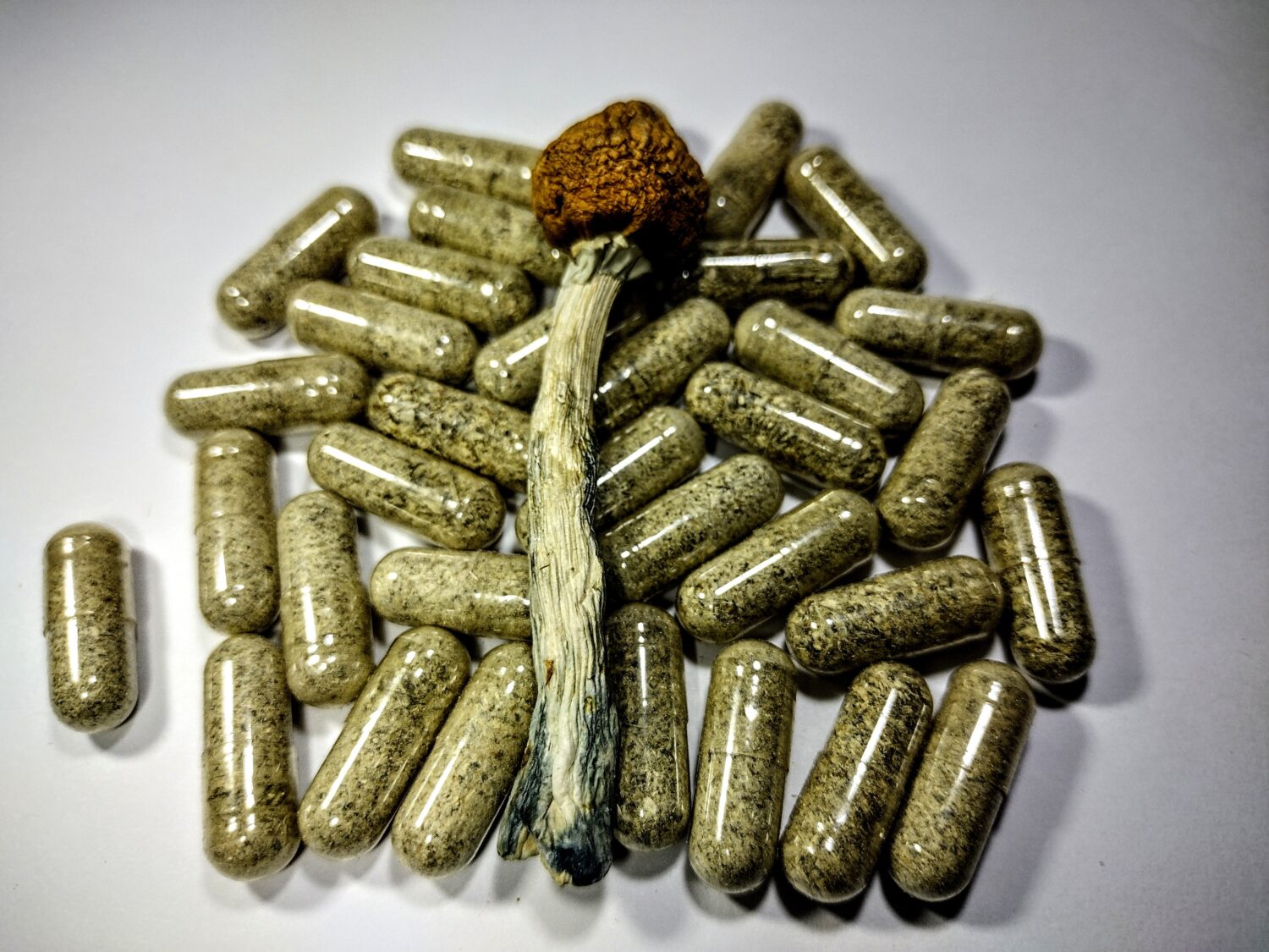 3.5g - Golden Teachers Microdose (11 pack) - Image 2