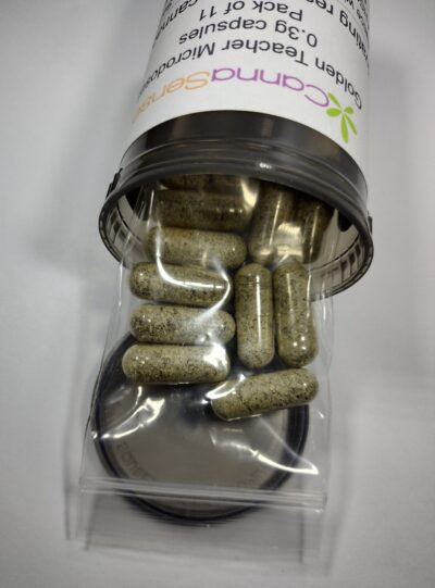 3.5g - Golden Teachers Microdose (11 pack) - Image 4