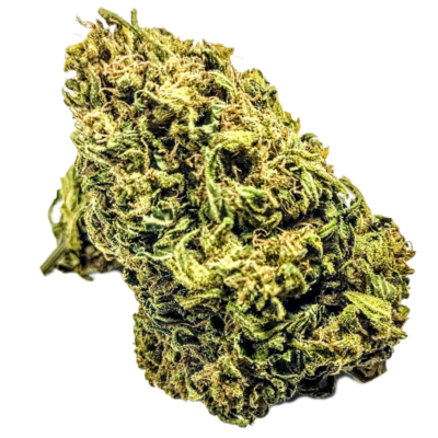 (PROMO) The Mangos Sage - Hybrid 1/4 oz