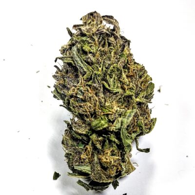 (PROMO) Purple Anarchy - Sweet Anarchy Pheno - Indica Dominant 1/4 oz