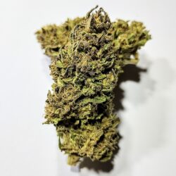 (PROMO) Purple Gooasaurus - Indica Dominant 1/4 oz