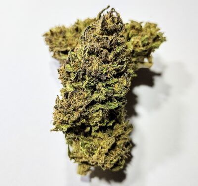 (PROMO) Purple Gooasaurus - Indica Dominant 1/4 oz