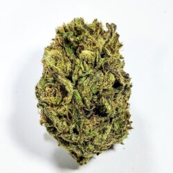 (PROMO) Purple Pineapple Stealth - Indica Dominant 1/4 oz