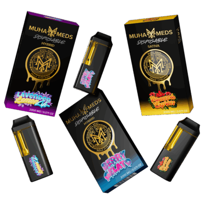 2g - Muha Meds All-In-One Disposable - DOGTOWN