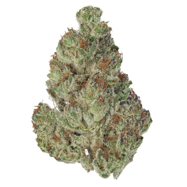 14g/28g - Tennessee Hog - Exotic Indoor Flower (Indica) -  Dogtown