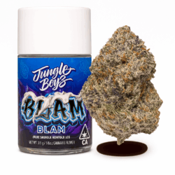 3.5g - Jungle Boys "BLAM" - DOGTOWN