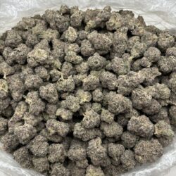 28g - Blockberry - Exotic Indoor Flower (Hybrid) -  DOGTOWN