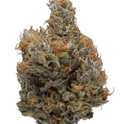 28g - Pineapple Express - Award-Winning AAA Indoor Flower (Sativa) - DOGTOWN