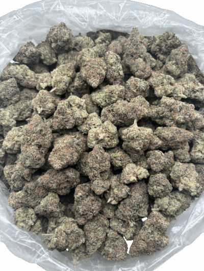 28g - Pop Tartz - Exotic Indoor Flower (Hybrid) -  DOGTOWN - Image 2