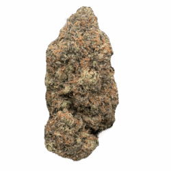 28g - Pop Tartz - Exotic Indoor Flower (Hybrid) -  DOGTOWN