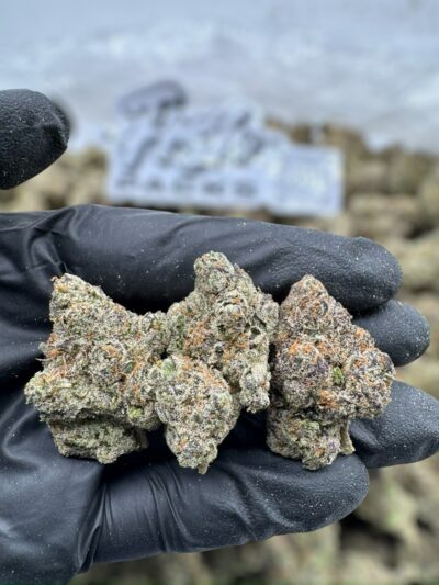 28g - Jelly Roll - AAA Exotic Indoor Flower (Indica-Dominant Hybrid) - DOGTOWN