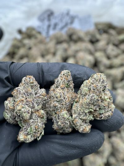 28g - Kool-Aid Jammerz - Exotic Indoor Flower (Indica) DOGTOWN