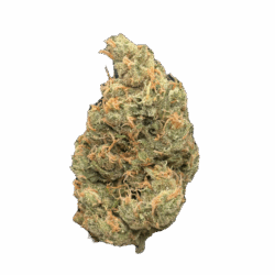 28g - Pineapple Express - Award-Winning AAA Indoor Flower (Sativa) - DOGTOWN