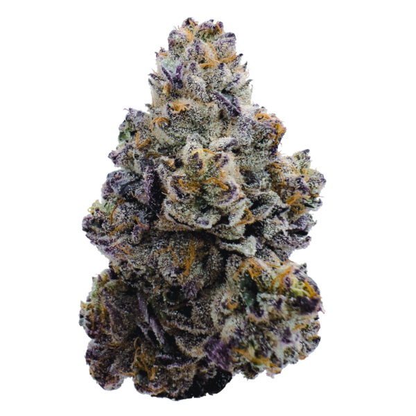 14g/28g - Blue Sancho - AAA Indoor Flower (Hybrid) - DOGTOWN