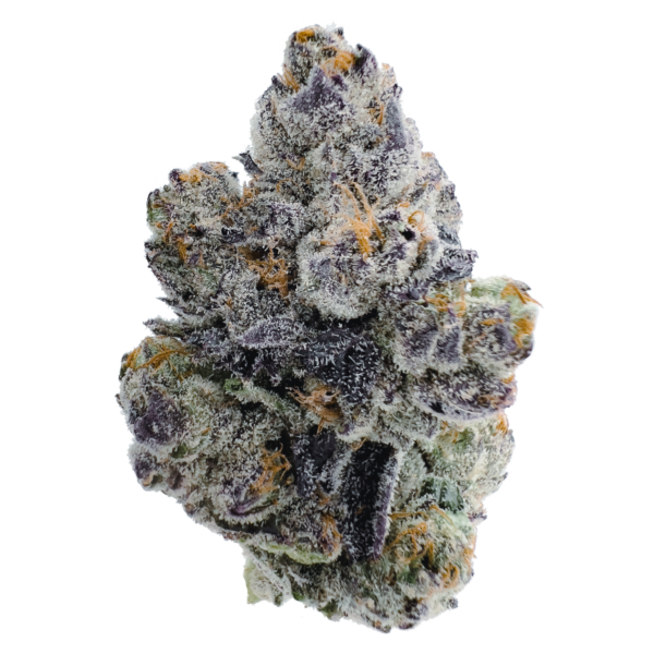 14g/28g - Candy Rain - Exotic Indoor Flower (Hybrid) -  DOGTOWN