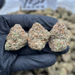28g - Strawberry Shortcake - Exotic Indoor Flower (Indica) -  DOGTOWN