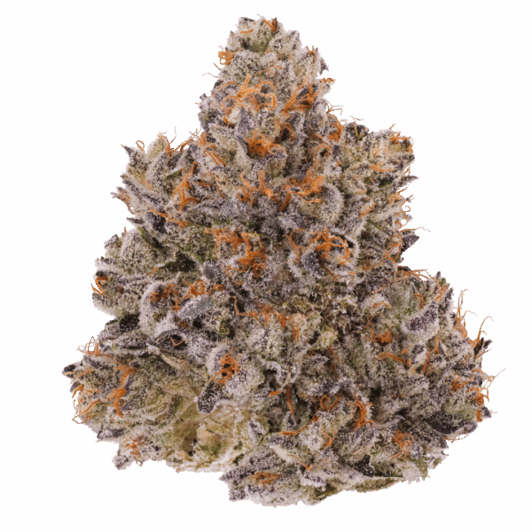 14g/28g - Chemdawg - Exotic Indoor Flower (Hybrid) -  DOGTOWN