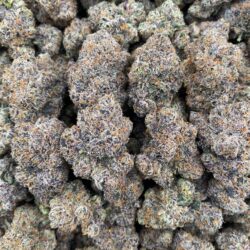 28g - Chunky Monkey - Award-Winning AAA Indoor Flower (Indica) - DOGTOWN