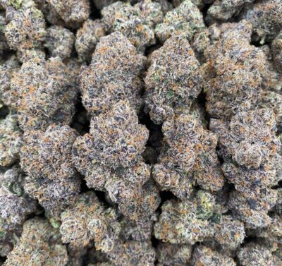 28g - Chunky Monkey - Award-Winning AAA Indoor Flower (Indica) - DOGTOWN