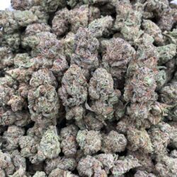 28g - Dirty Sprite - Exotic Indoor Flower (Hybrid) -  DOGTOWN