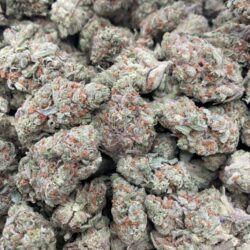 28g - Fire OG - Exotic Indoor Flower (Indica) -  DOGTOWN