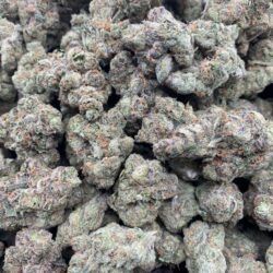 28g - Blue Dream - Exotic Indoor Flower (Sativa) -  DOGTOWN
