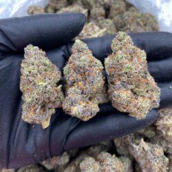 28g - Yellow Zushi - Exotic Indoor Flower (Indica Dominant Hybrid) -  DOGTOWN