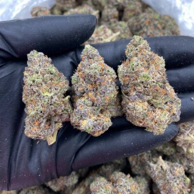 28g - Yellow Zushi - Exotic Indoor Flower (Indica Dominant Hybrid) -  DOGTOWN