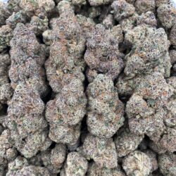 28g - Italian Cherriez - Exotic Indoor Flower (Hybrid) -  DOGTOWN