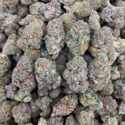 28g - King Louis OG - Exotic Indoor Flower (Indica) -  DOGTOWN