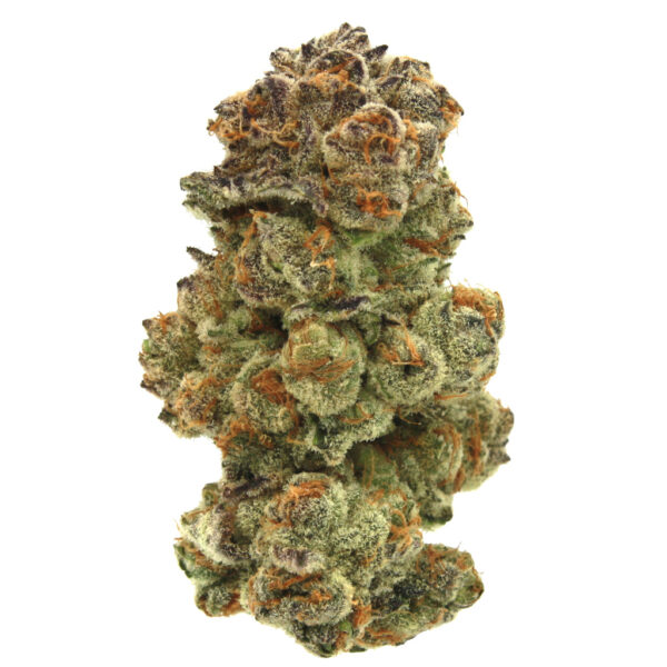 14g/28g - Santa Maria - Exotic Indoor Flower (Sativa) -  DOGTOWN