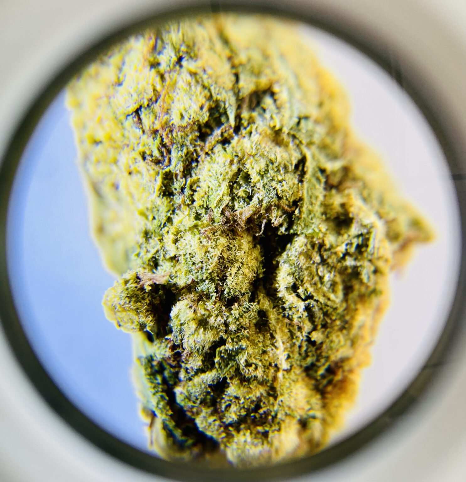 Caribbean Trance - Indica Dominant 1/4 oz - Image 2
